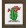 Permin borduurset Aida Cactus oranje 10x12cm