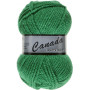 Lammy Canada Garen Unicolour 046 Groen