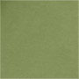 Faux Leather Papier, groen, B: 50 cm, unikleurig, 350 gr, 1 m/ 1 rol