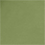 Faux Leather Papier, groen, B: 50 cm, unikleurig, 350 gr, 1 m/ 1 rol