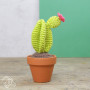 DIY/DIY set Cactussen haken