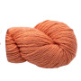 Kremke Soul Wool Reborn Wool Recycled 04 Licht Oranje
