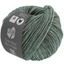 Lana Grossa Cool Wool Big Vintage Garen 168 Groen Grijs